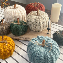 Load image into Gallery viewer, Crochet Pumpkins