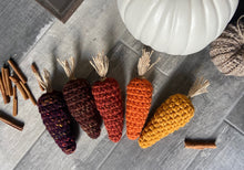 Load image into Gallery viewer, Farmhouse Crochet Indian Corn