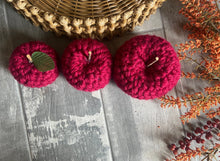 Load image into Gallery viewer, Farmhouse Apple Fall Decor